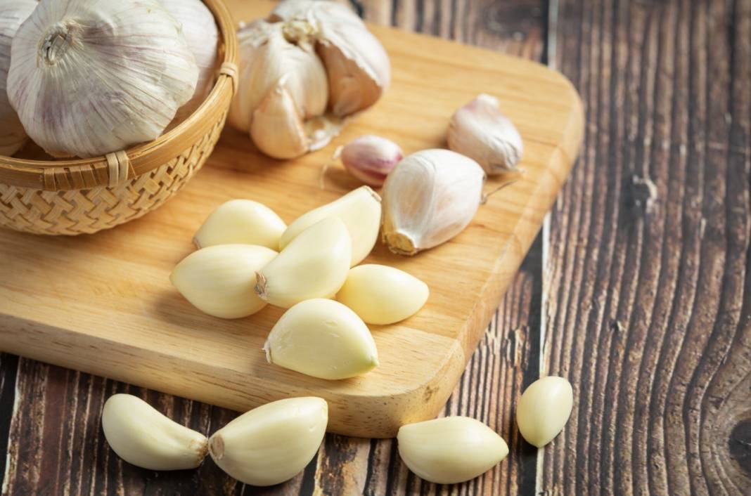 Antibiyotik deposu sarımsak tüketmek artık lüks oldu: 4 yılda yüze 1300 zam geldi 3